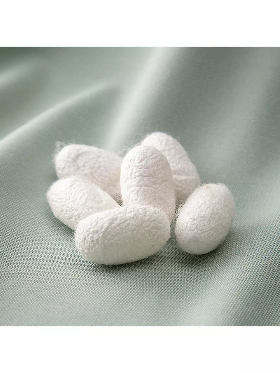 Perfect Blend of Comfort and Elegance Men's Stylish Polo T-Shirt